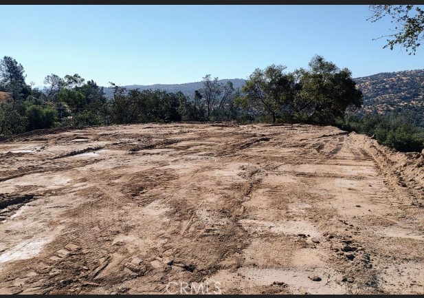 a view of a dry yard