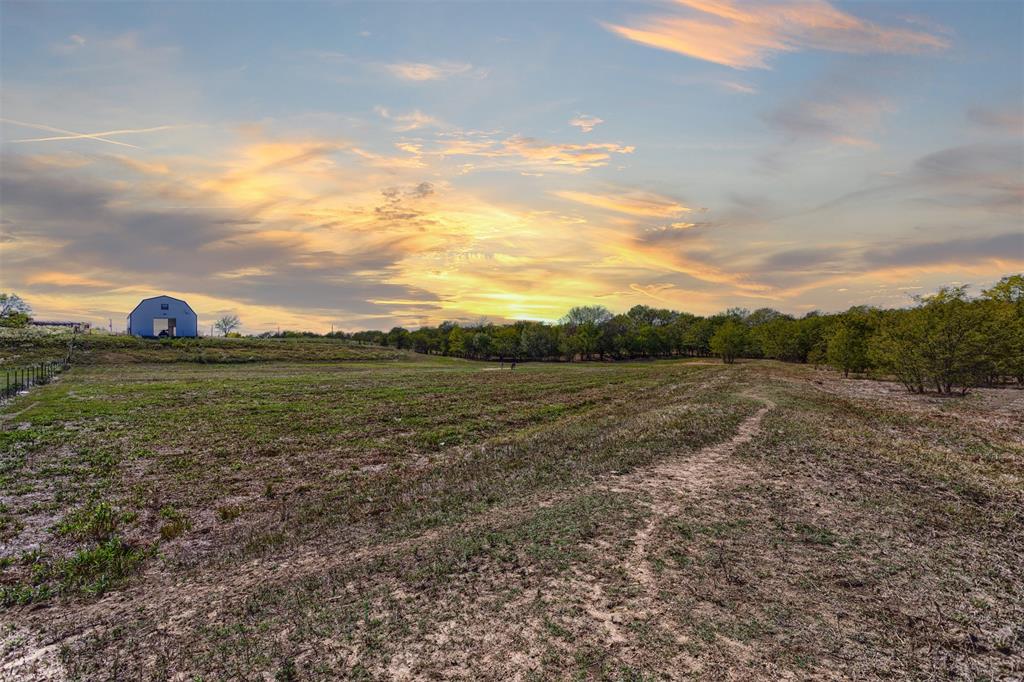 a view of a field with an trees