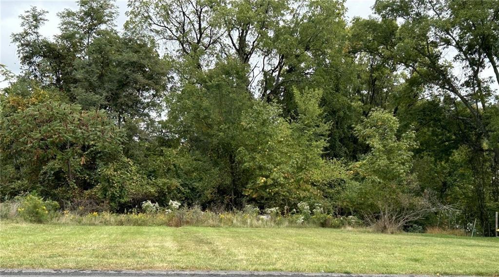 a view of a green field with trees