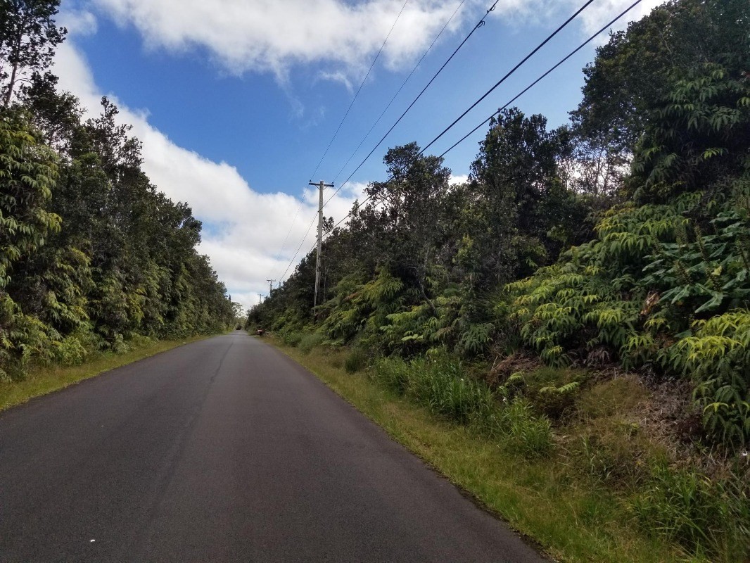 a view of a road from a yard