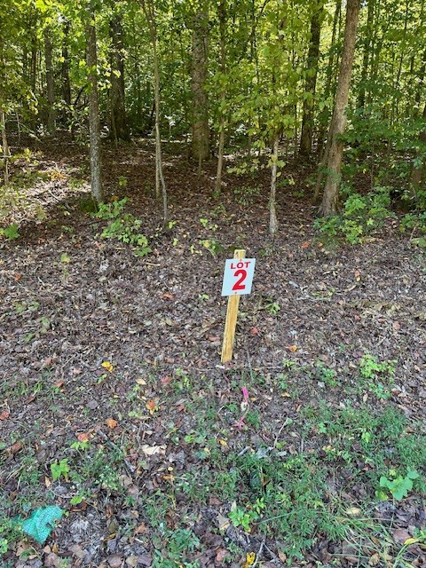 a flag is sitting in the middle of a forest