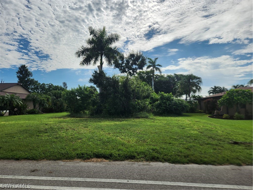 a view of a grassy field