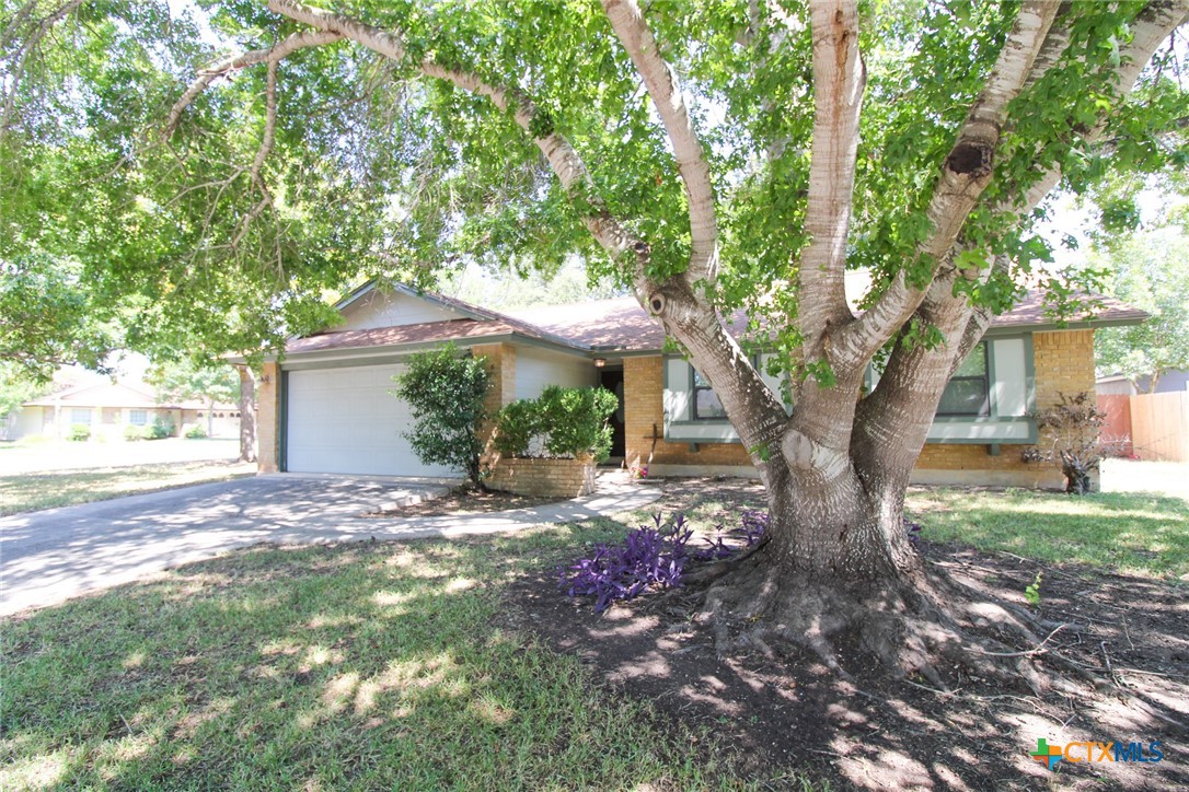 a view of a house with a tree in the yard