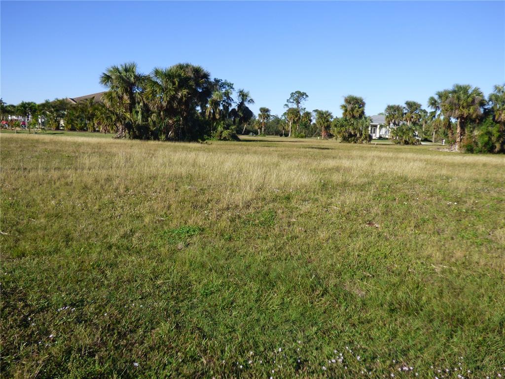 a view of a field with trees in the background