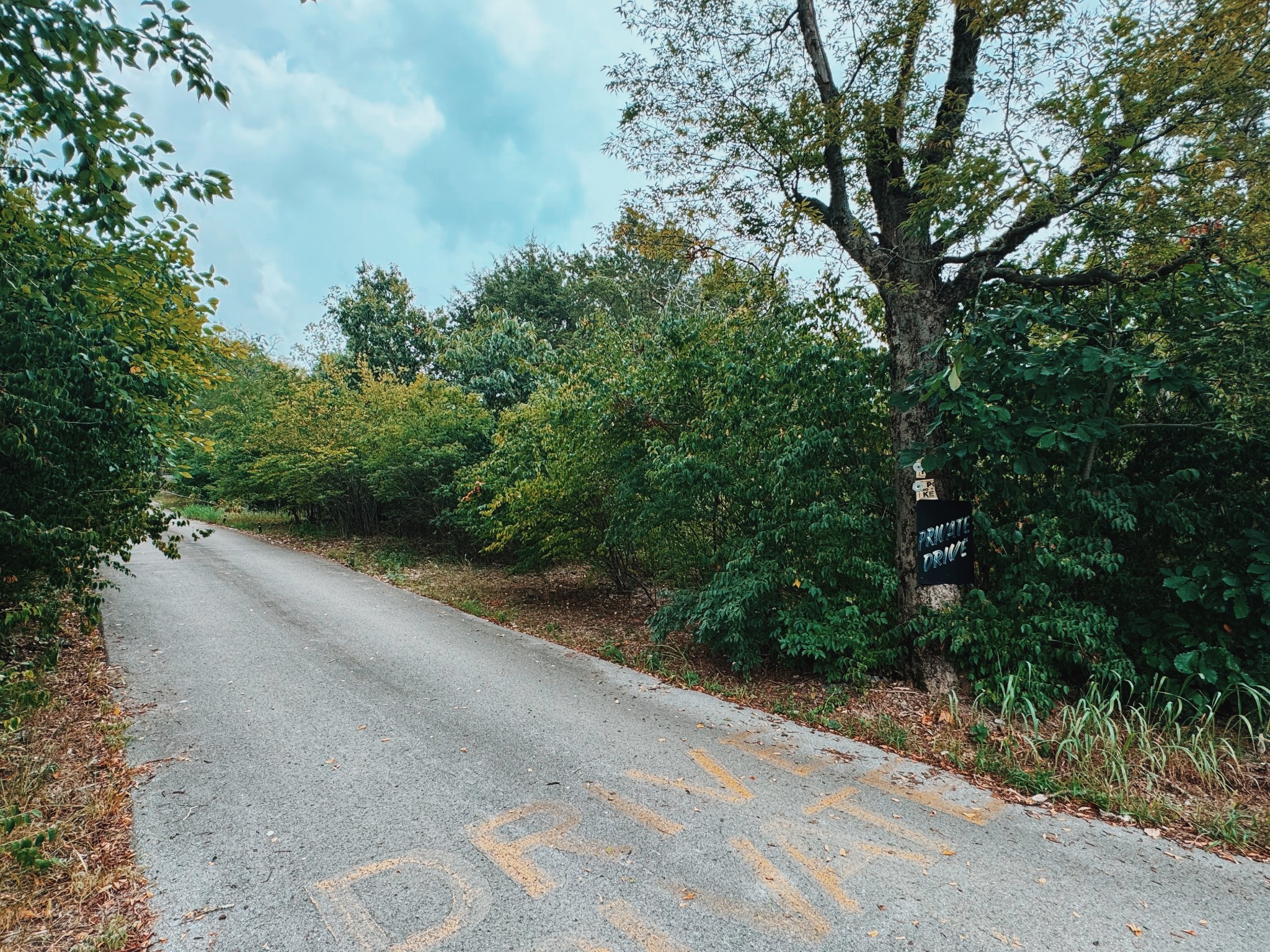 a view of a road with trees in the background