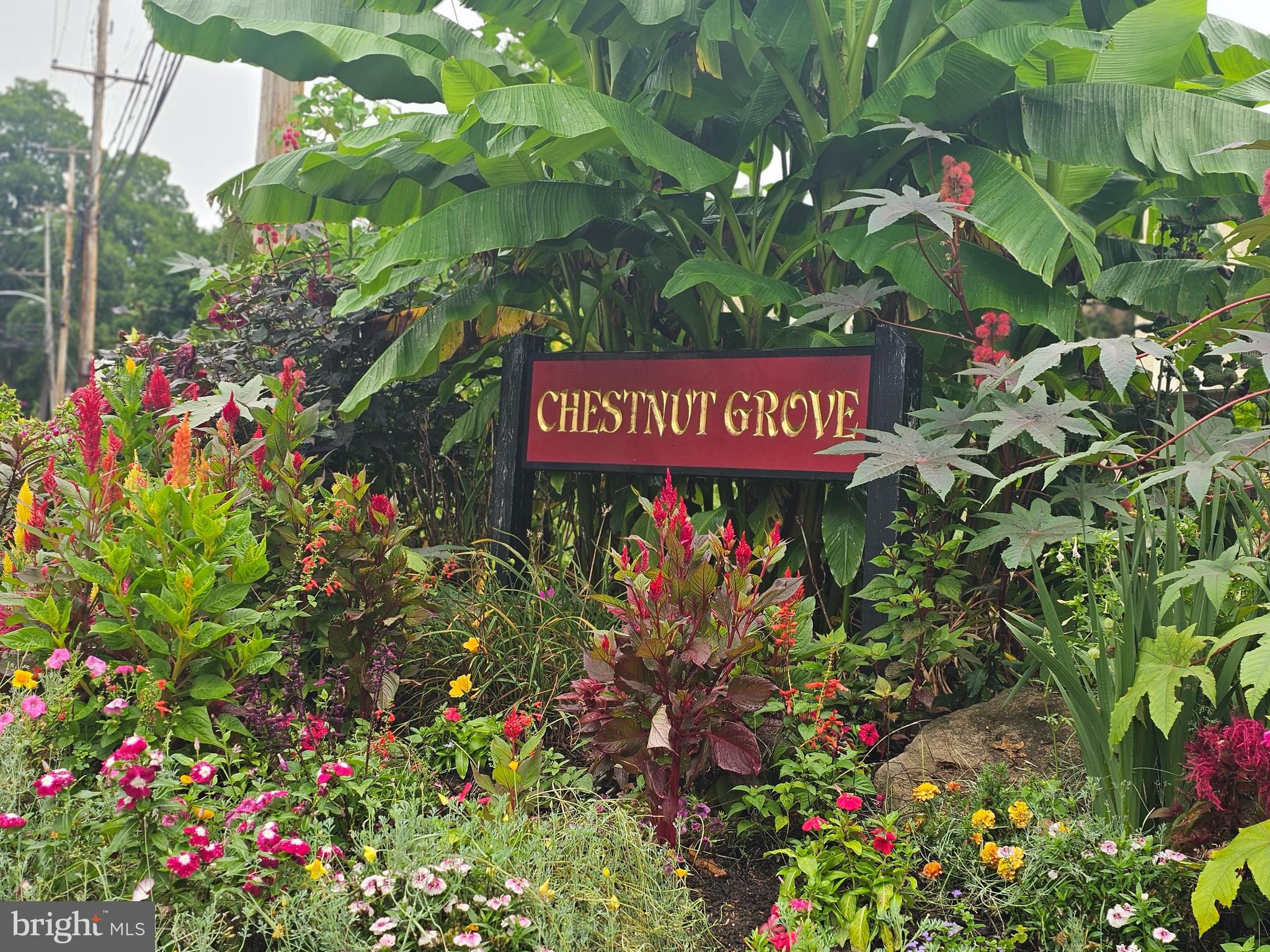 a sign that is in front of flowers