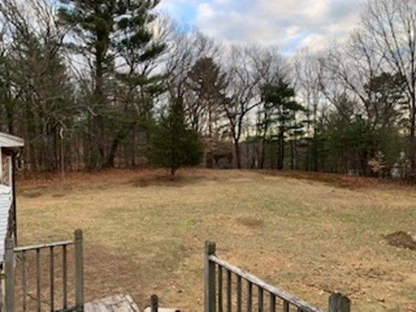 a view of backyard with green space