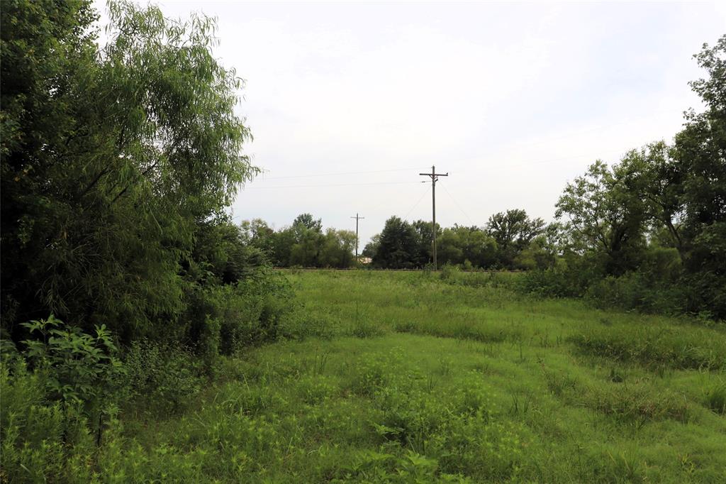 a view of a green field with lots of bushes