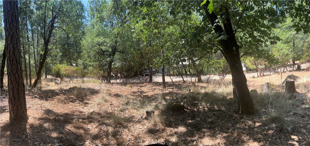 a view of a yard with a tree