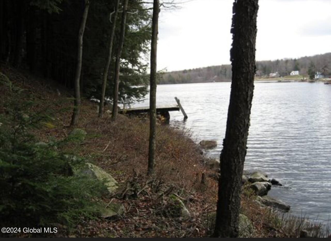 10 lot with lake access