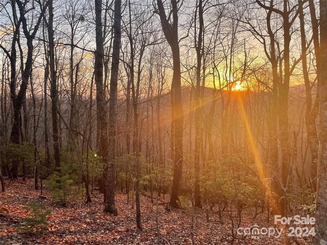 $49,000 | Tbd Connestee Trail | Dunns Rock Township - Transylvania County