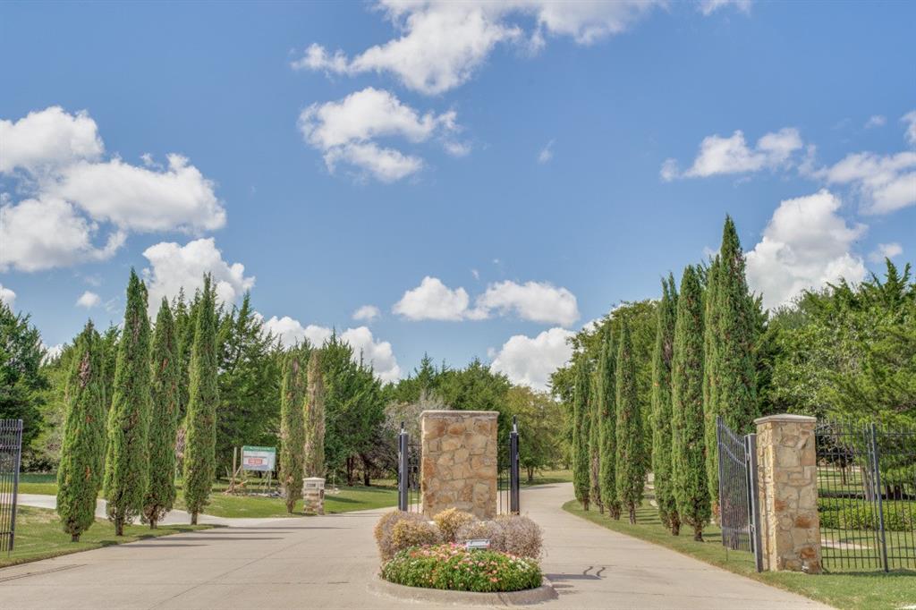 a view of a fountain in a yard with plants and large trees