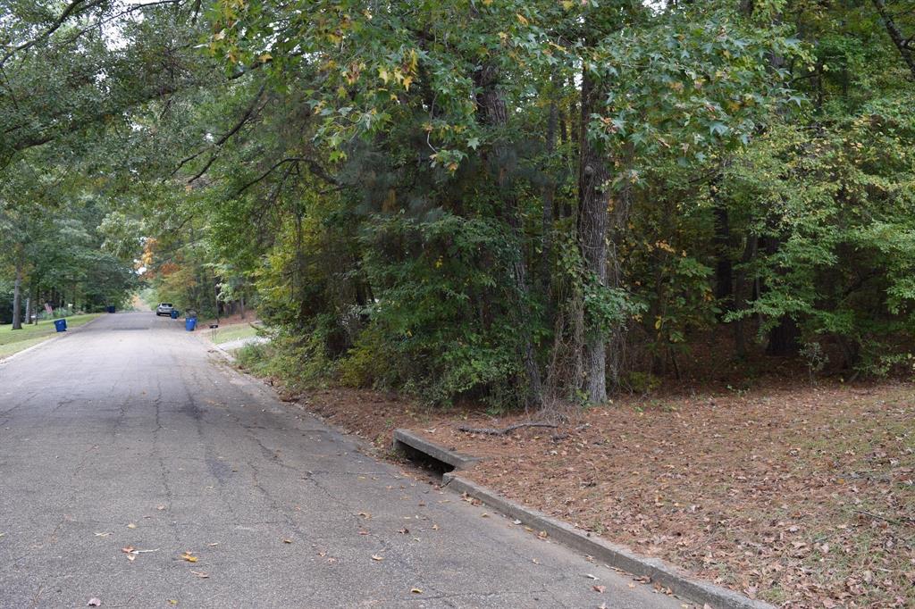 a view of a forest with trees