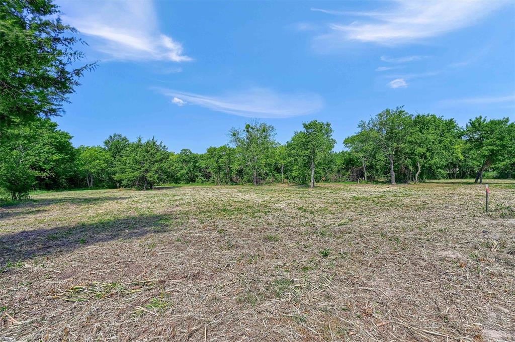 a view of a field with trees in background