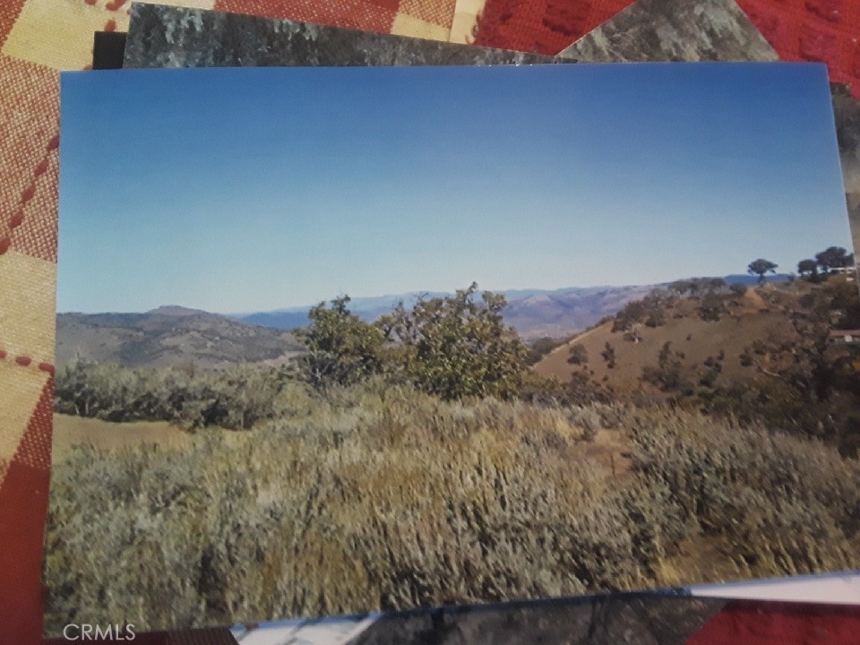 a view of a dry yard with mountains in the background