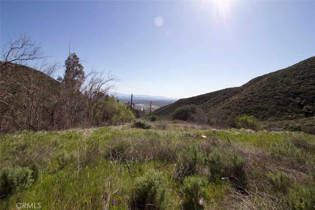 a view of a field of grass and mountain