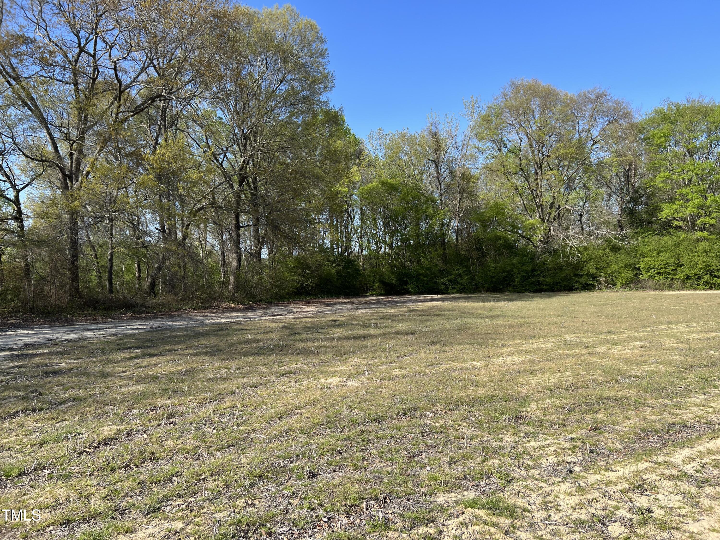 a view of a yard with a trees