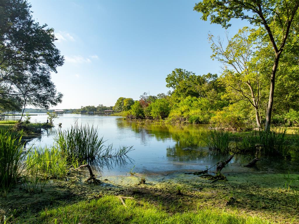 a view of a lake from a yard