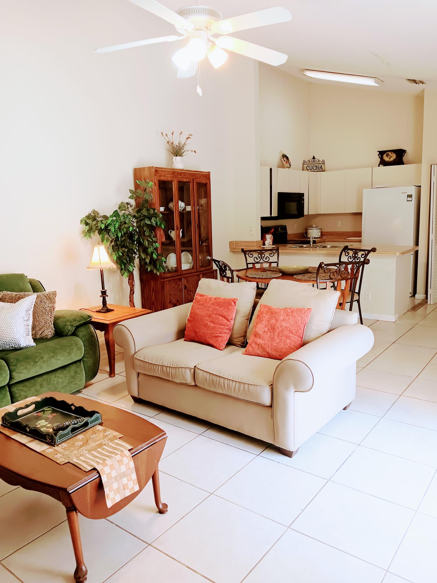 a living room with furniture and a potted plant