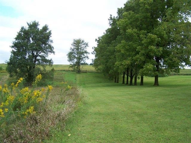 a view of a field with trees