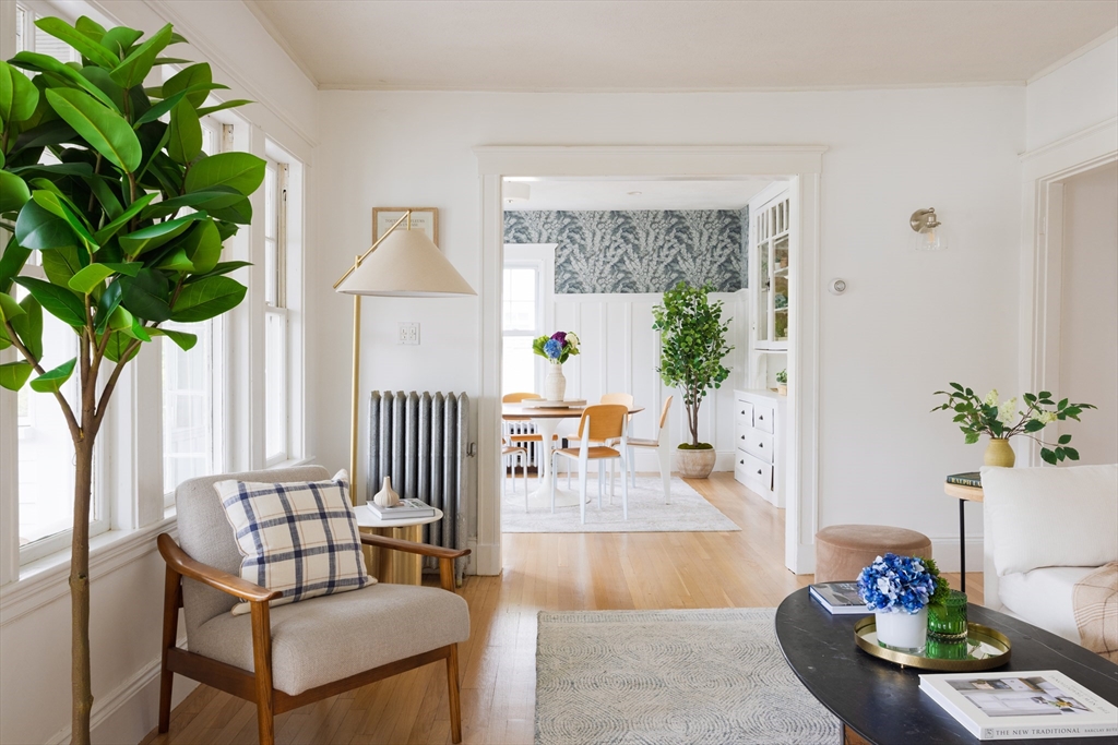 a living room with furniture and a potted plant