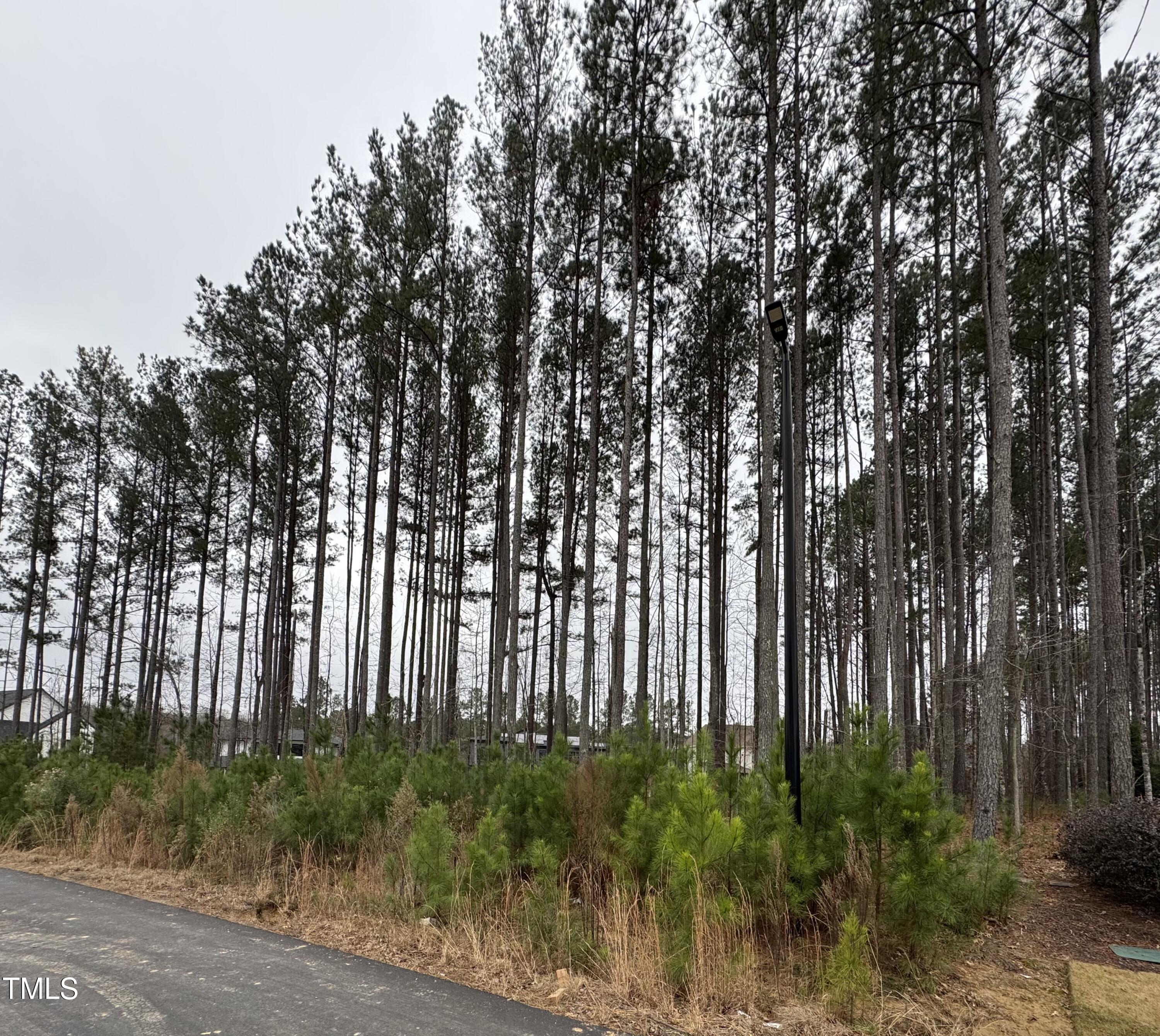 a view of outdoor space with lots of trees