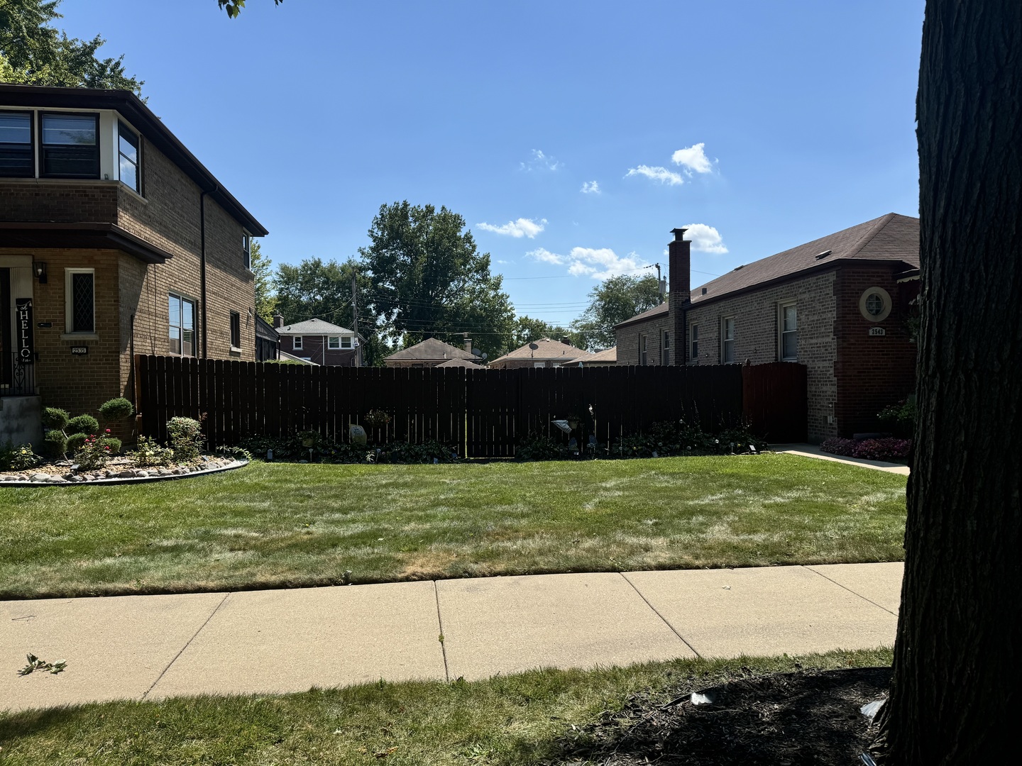 a view of a backyard with potted plants