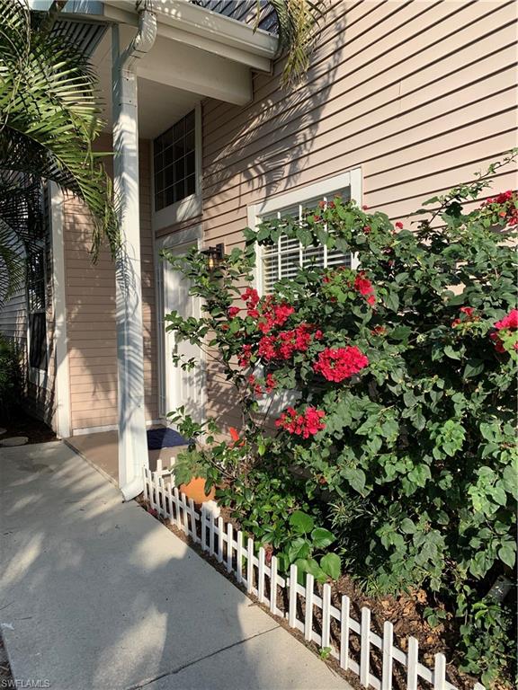 a view of a potted flower in a yard