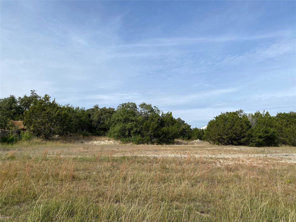 a view of a field with trees in background