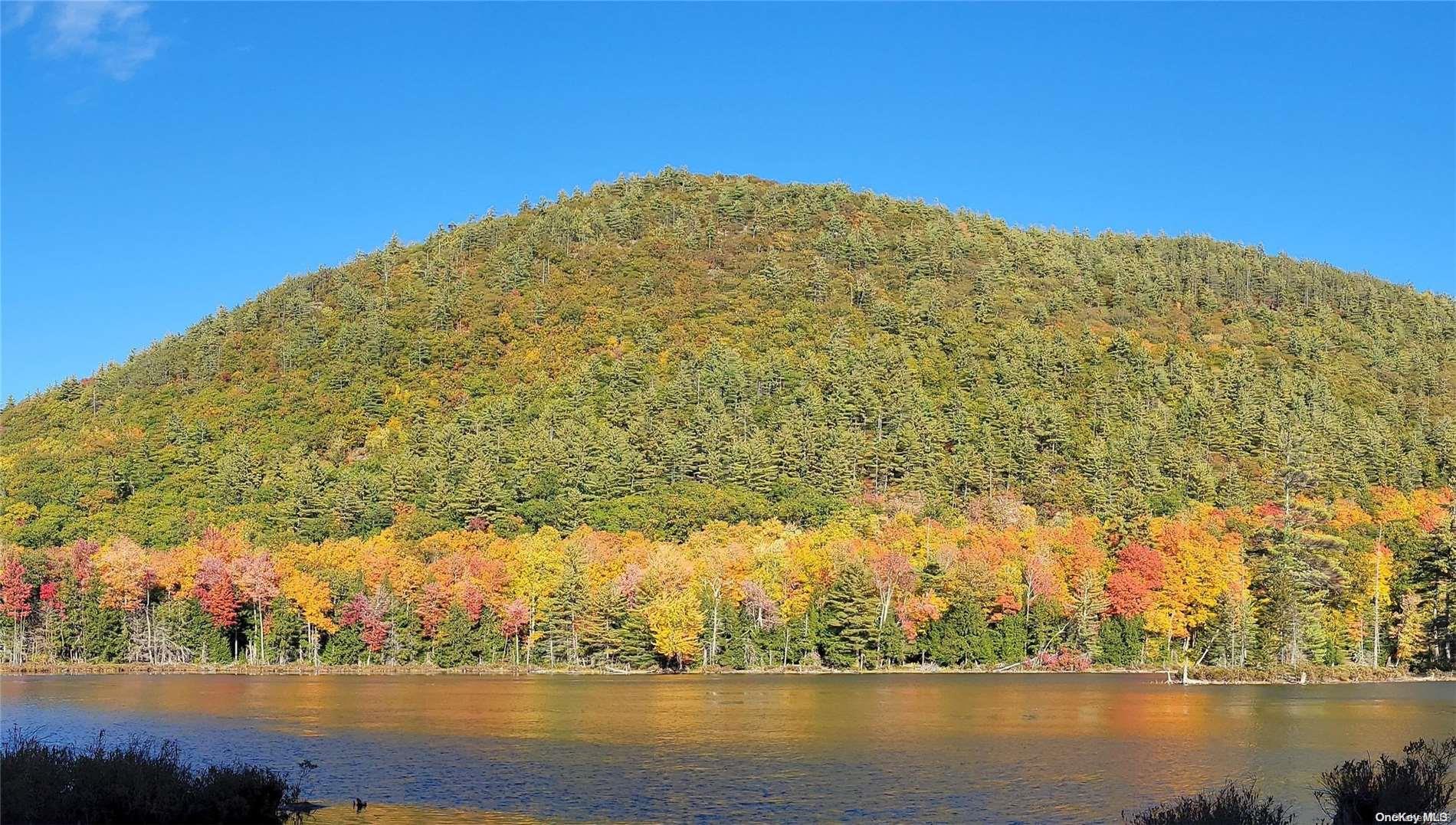 a view of lake