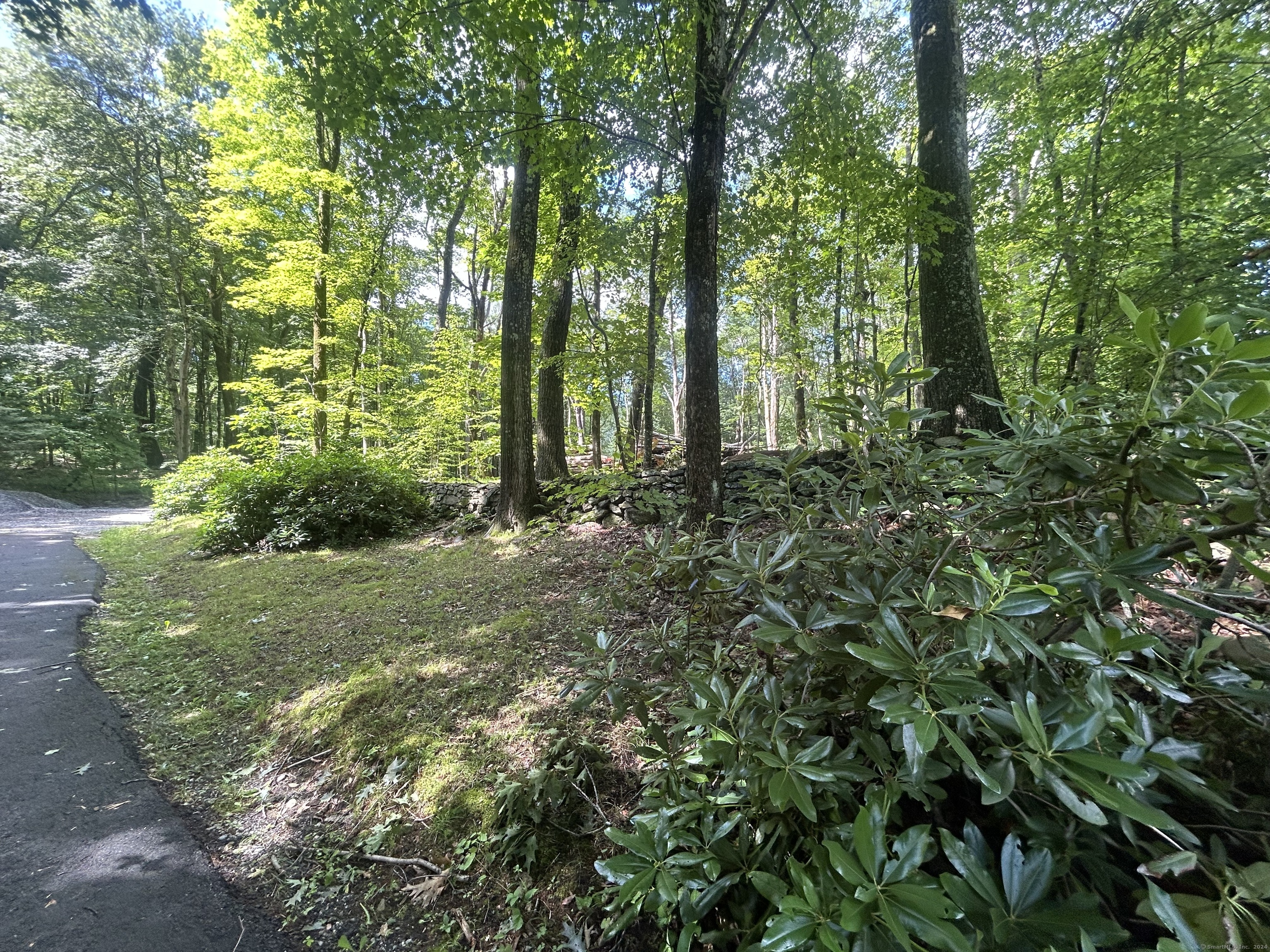 a view of outdoor space and trees all around