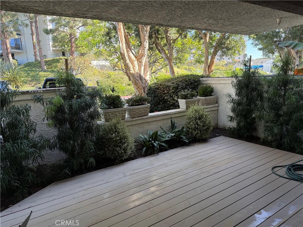 a view of backyard with plants and outdoor seating