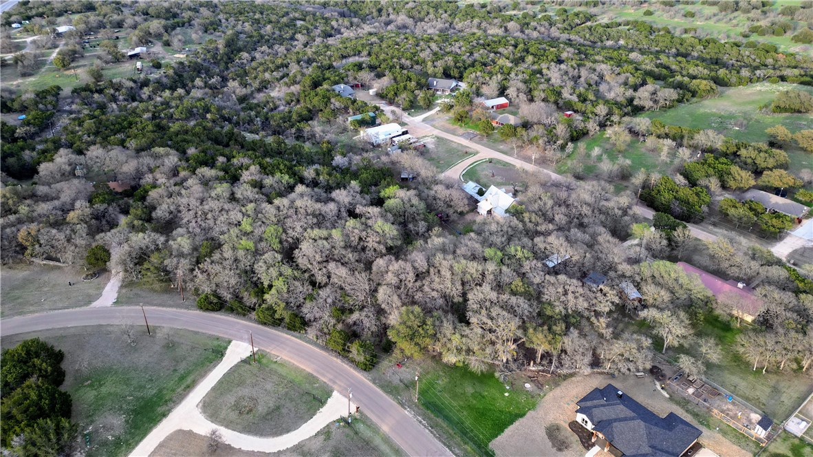 a view of a forest with a houses