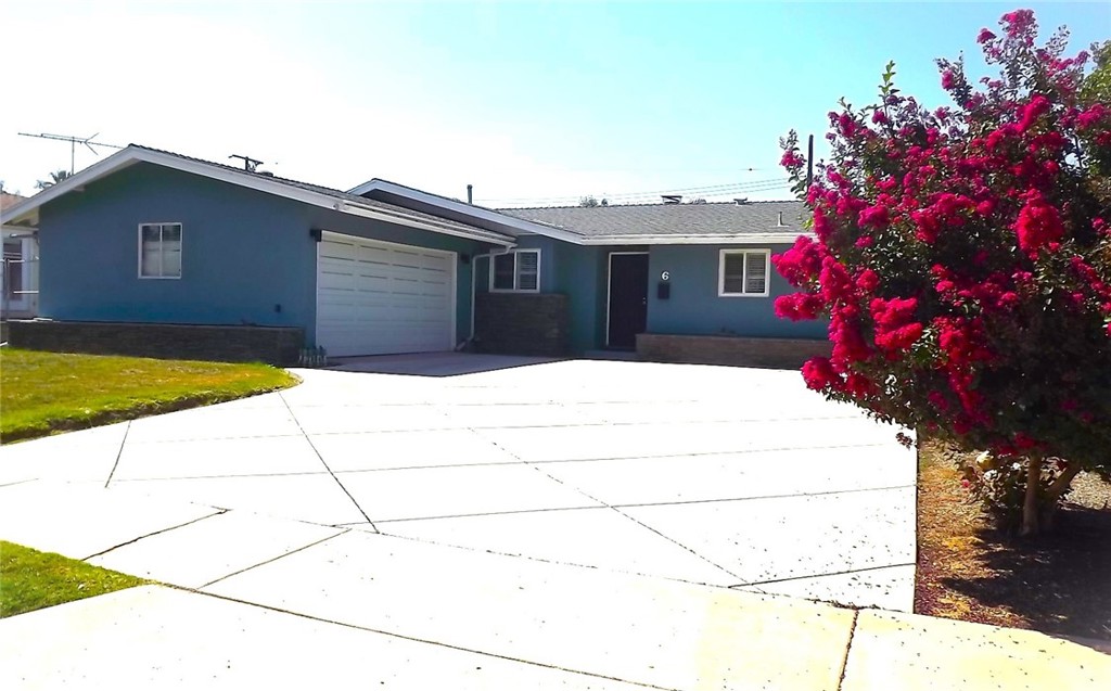 a house that has a tree in front of it