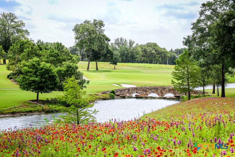 a view of a garden with an outdoor space