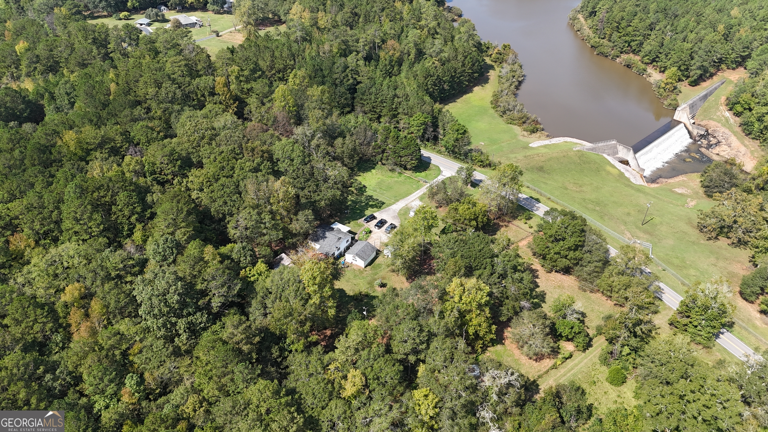 view of a forest with a house