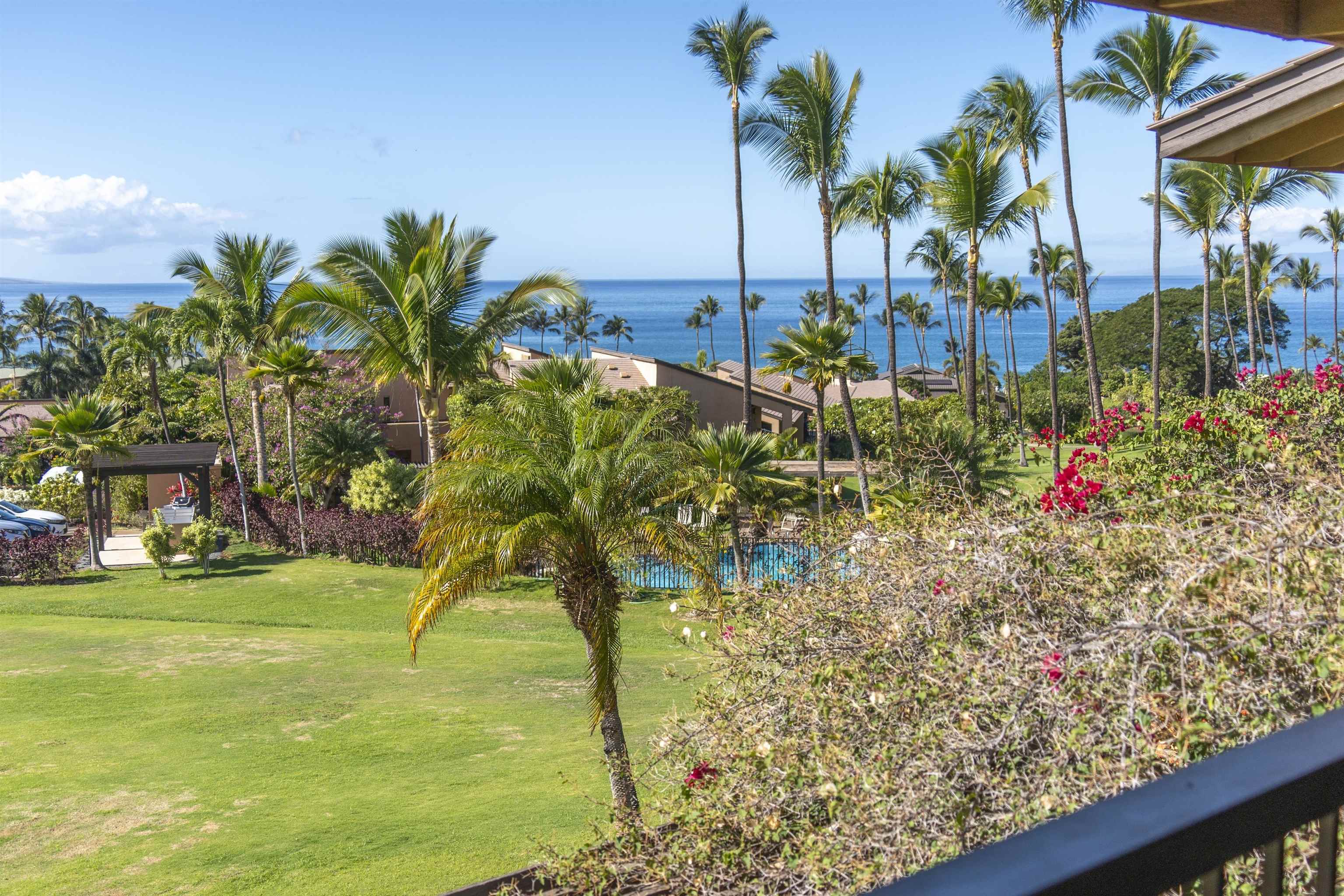 a view of a park with palm trees