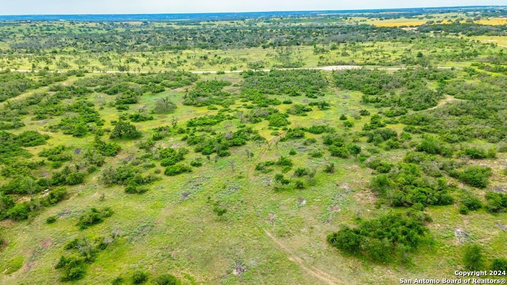 a view of a green field with lots of bushes