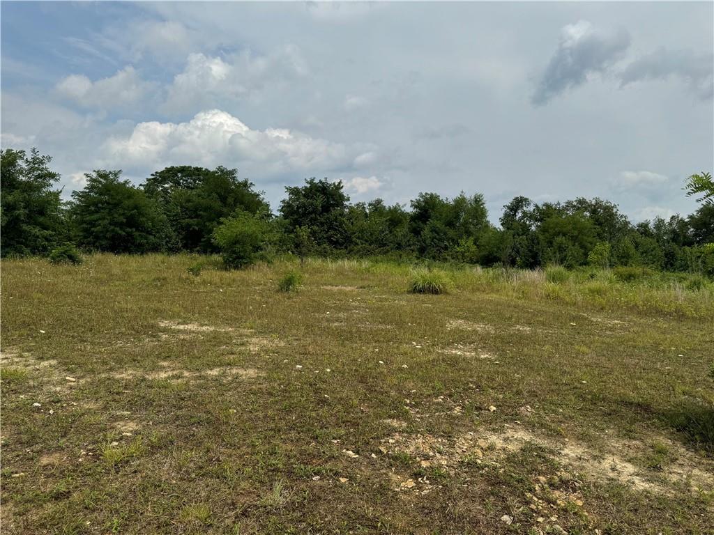 a view of a field with an ocean view