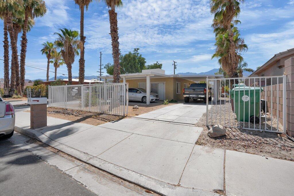 a view of a backyard with palm trees