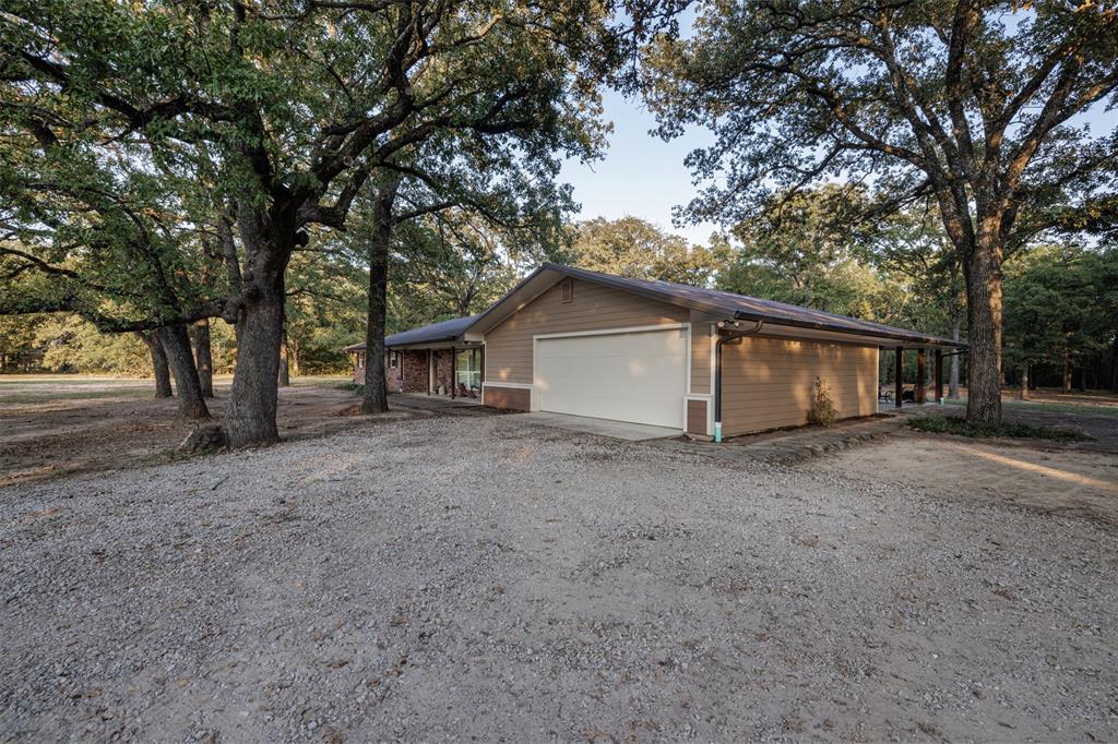 a view of a house with a large tree and a tree