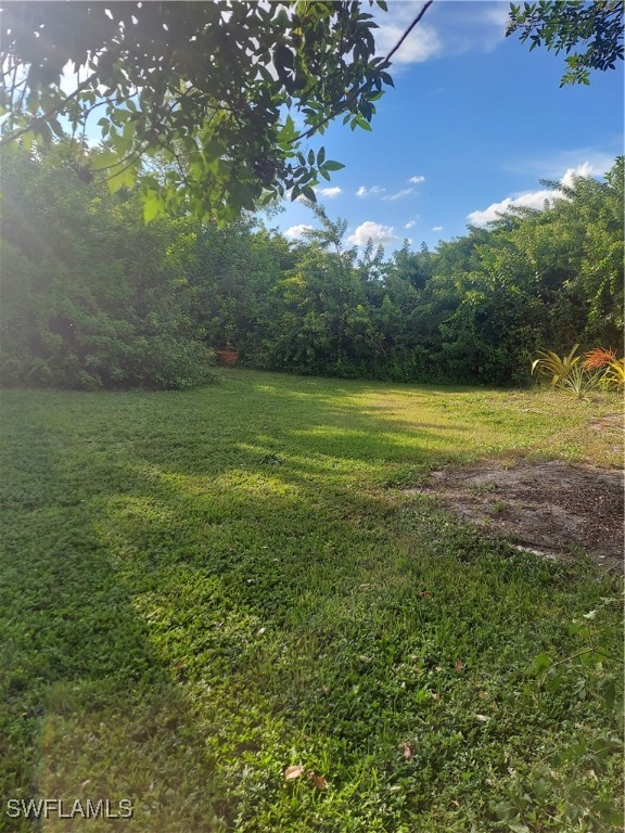 a view of a field with an trees