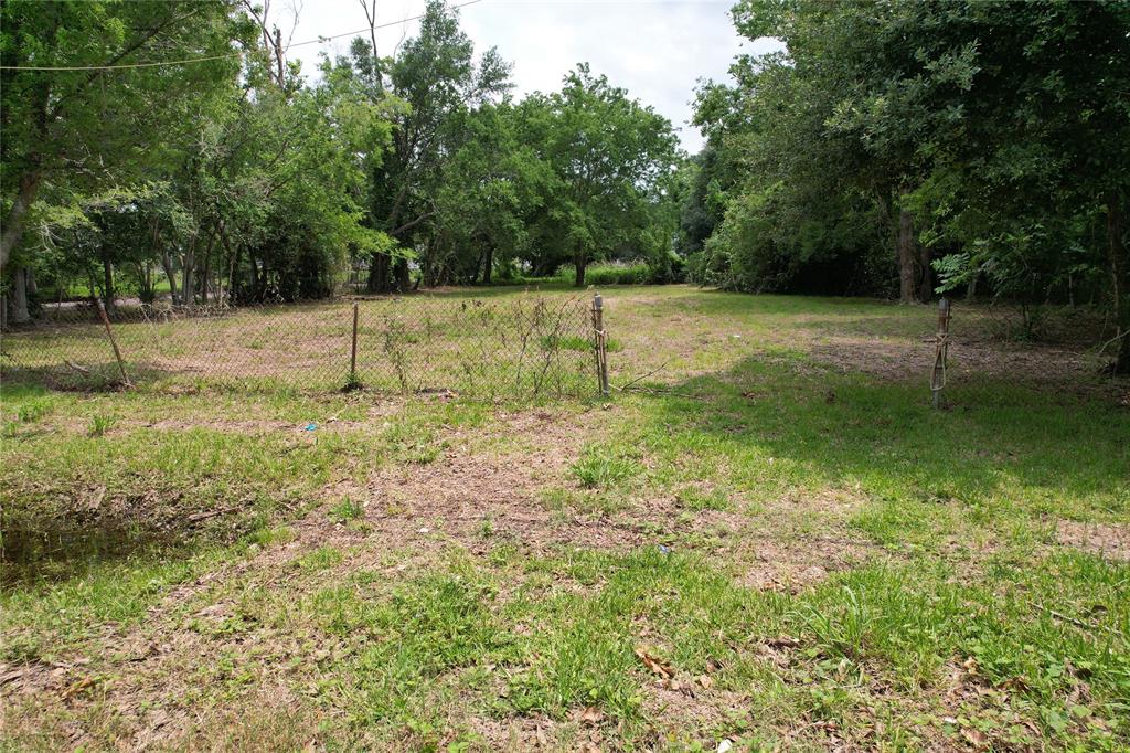 a view of a garden