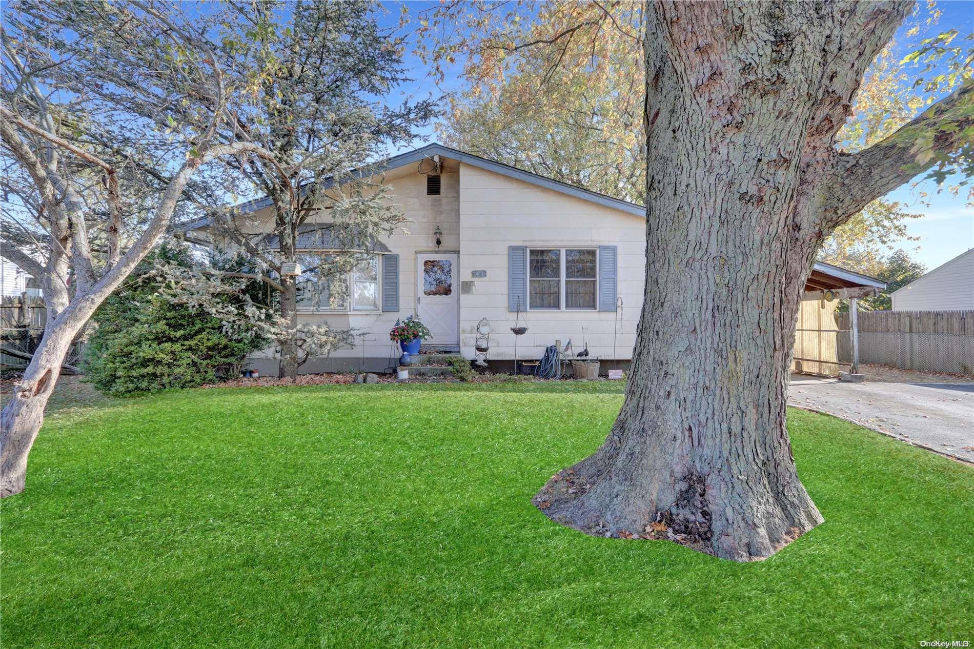 a view of a backyard with plants and large tree