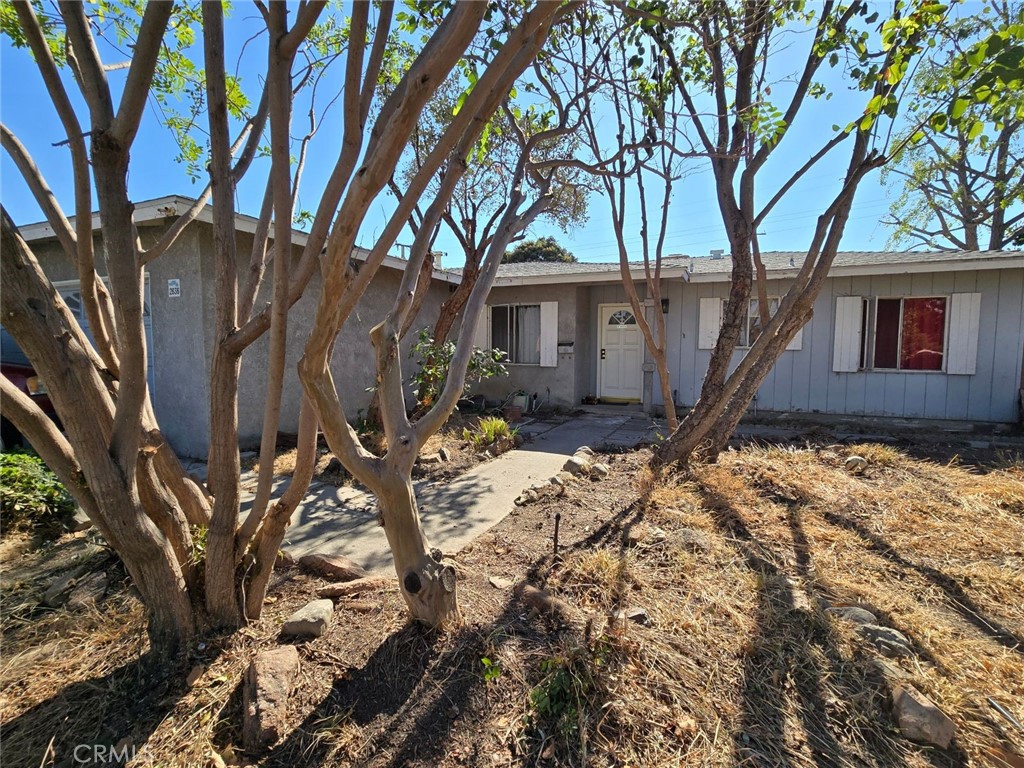 a backyard of a house with large trees