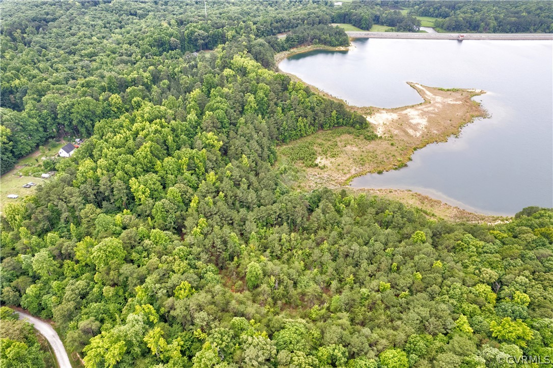 a view of a lake in middle of forest