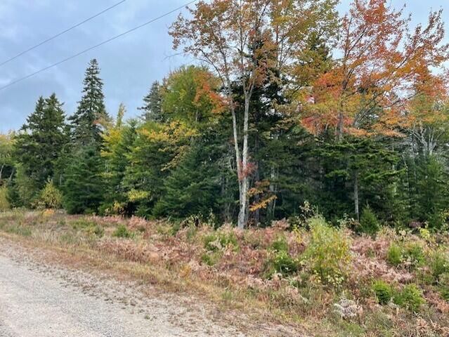 $75,000 | Lot #17-34 Lot#17-34 Dolly Head Estates Road | Steuben