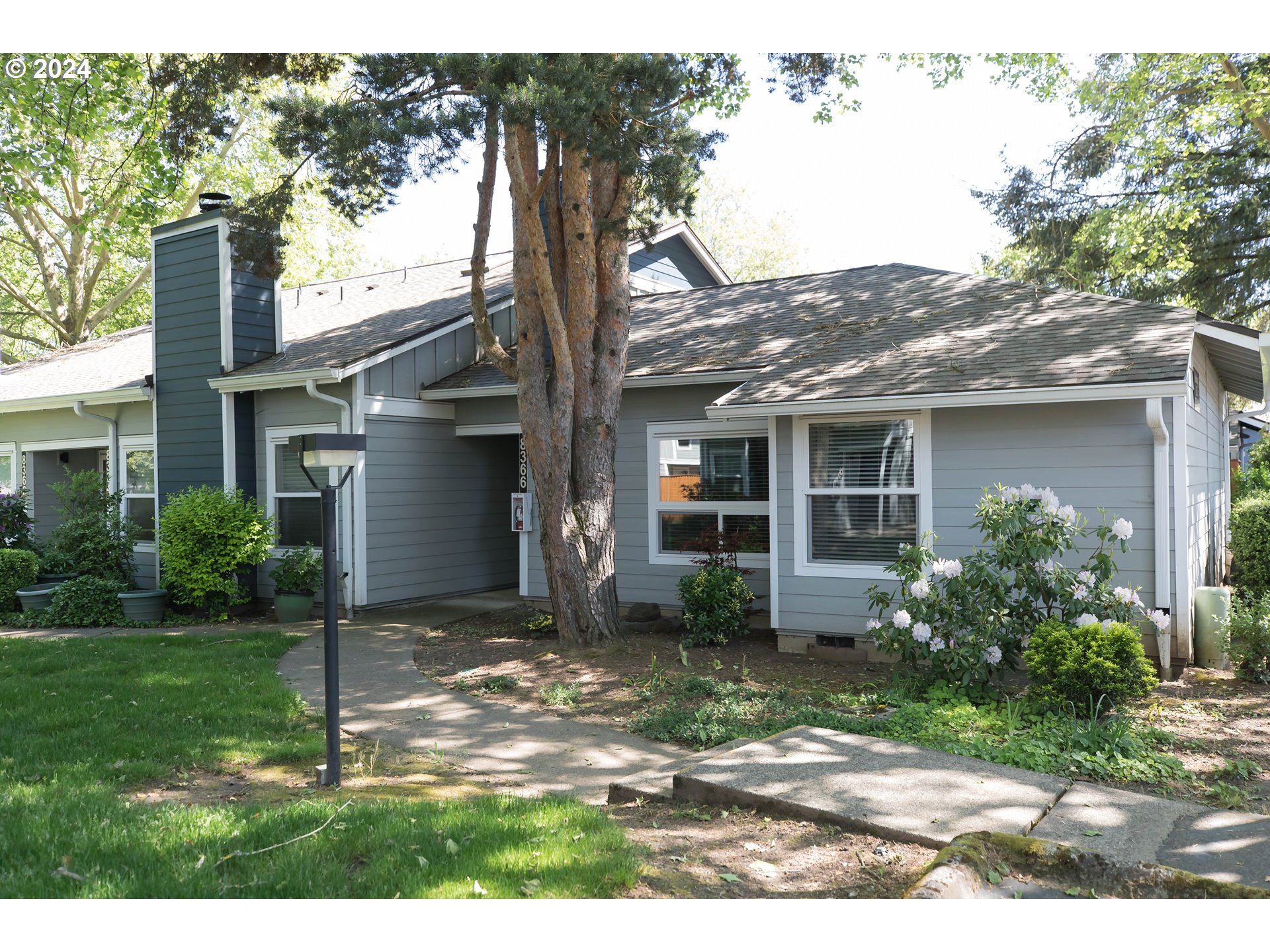 a view of a house with brick walls plants and large tree