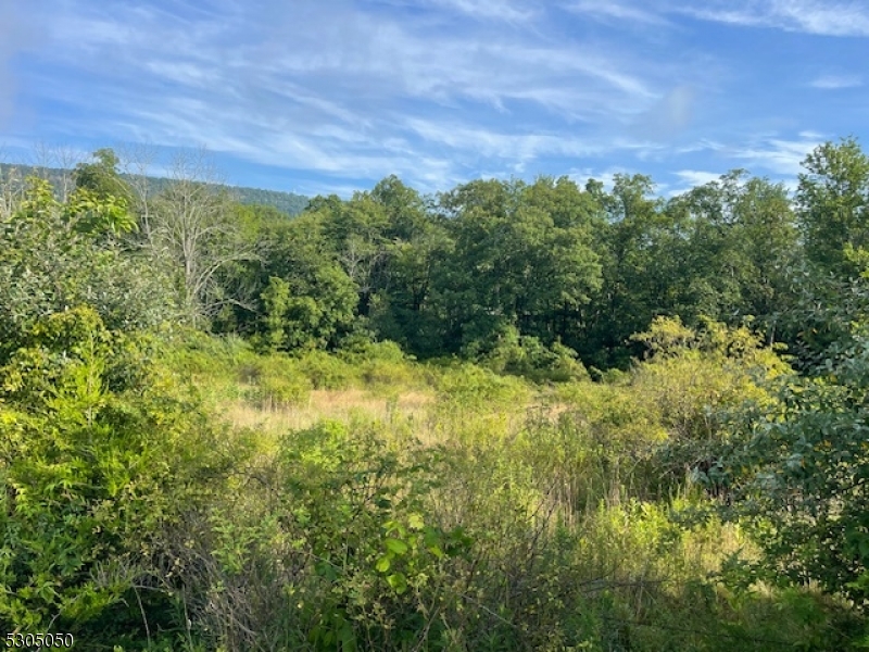 a view of a large yard with lots of green space