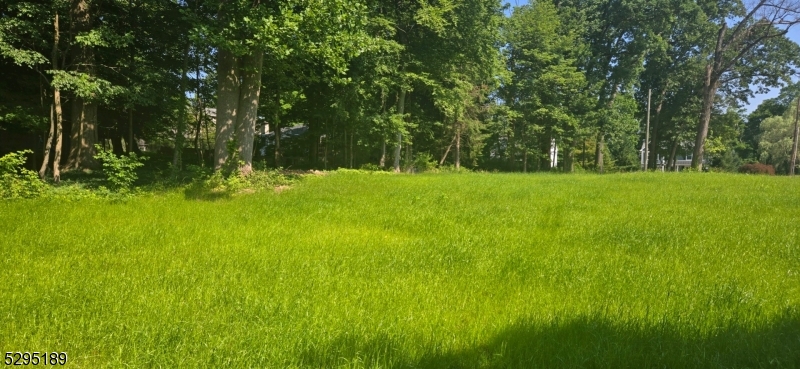 a view of yard with green space